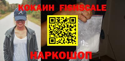 амф Гусев