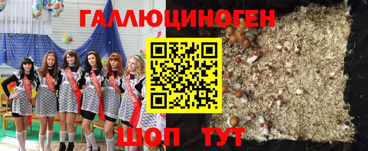 Можга  Галлюциногенные грибы Cubensis  Вход с VPN  Галлюциногенные грибы мухоморы 